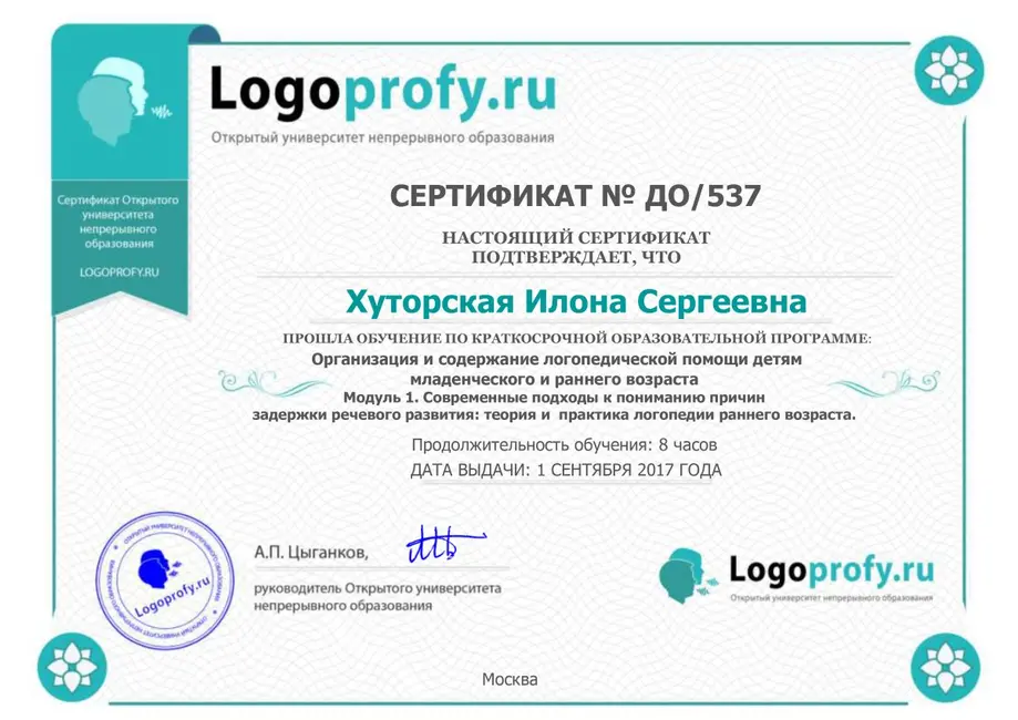 Современные подходы к пониманию причин задержки речевого развия, 2017 год